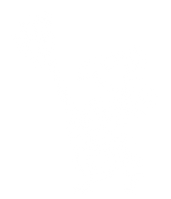Bailenga Logo